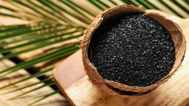 Hebei MTY Activated Carbon Co.,LTD: High-Quality Fruit Shell Activated Carbon Manufacturer with Competitive Prices