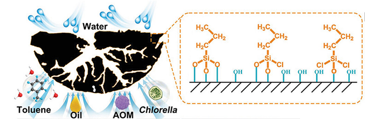 Activated Carbon Hydrophobic Modification Technology: Enhancing Performance and Applications of Activated Carbon