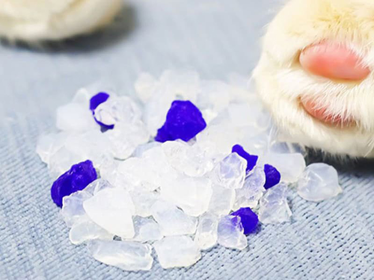 Silica Gel Cat Litter: An Ideal Choice for Environmental Sustainability and Health