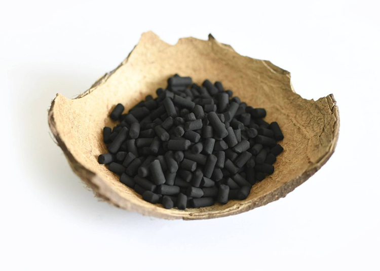 Coconut Shell Activated Carbon vs. Columnar Activated Carbon: Which One is Better for Your Needs?